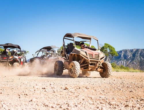 Thank you for the wonderful season!